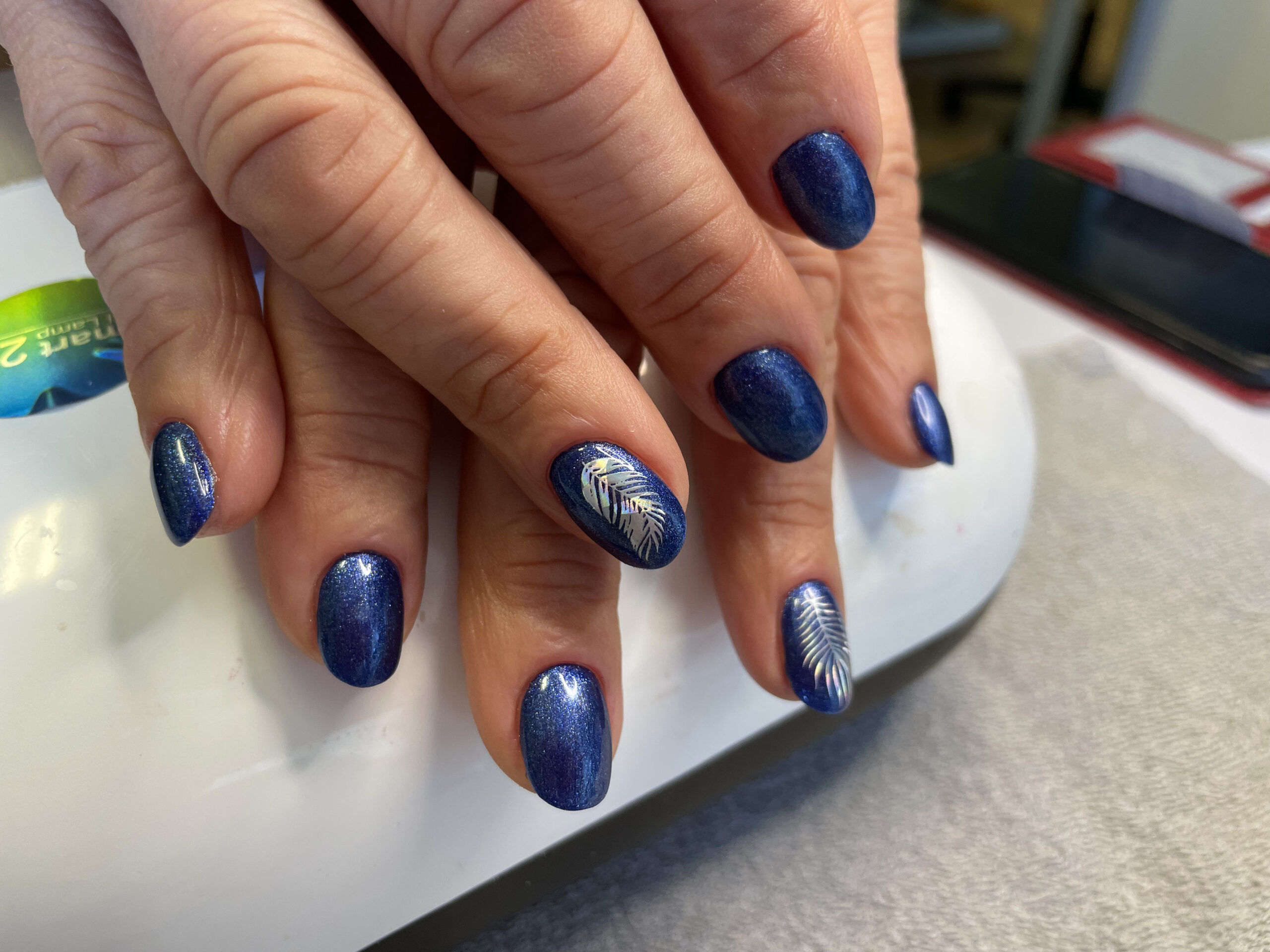 58e23aa1aa90cdd406e81a5e24e49000abe72d16 scaled